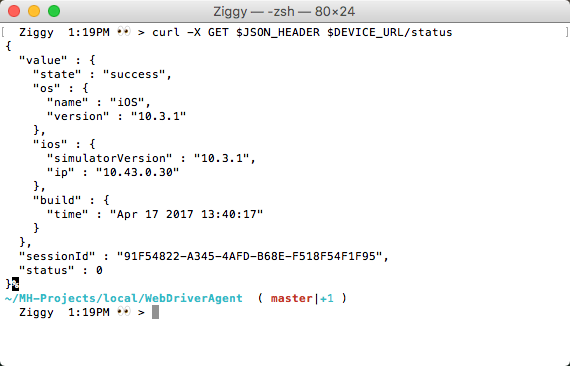 `/status` output
