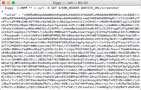 `/screeenshot` output