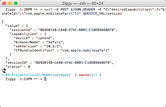`/session` output: launching Safari