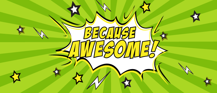 Why Custom Software? Because Awesome.