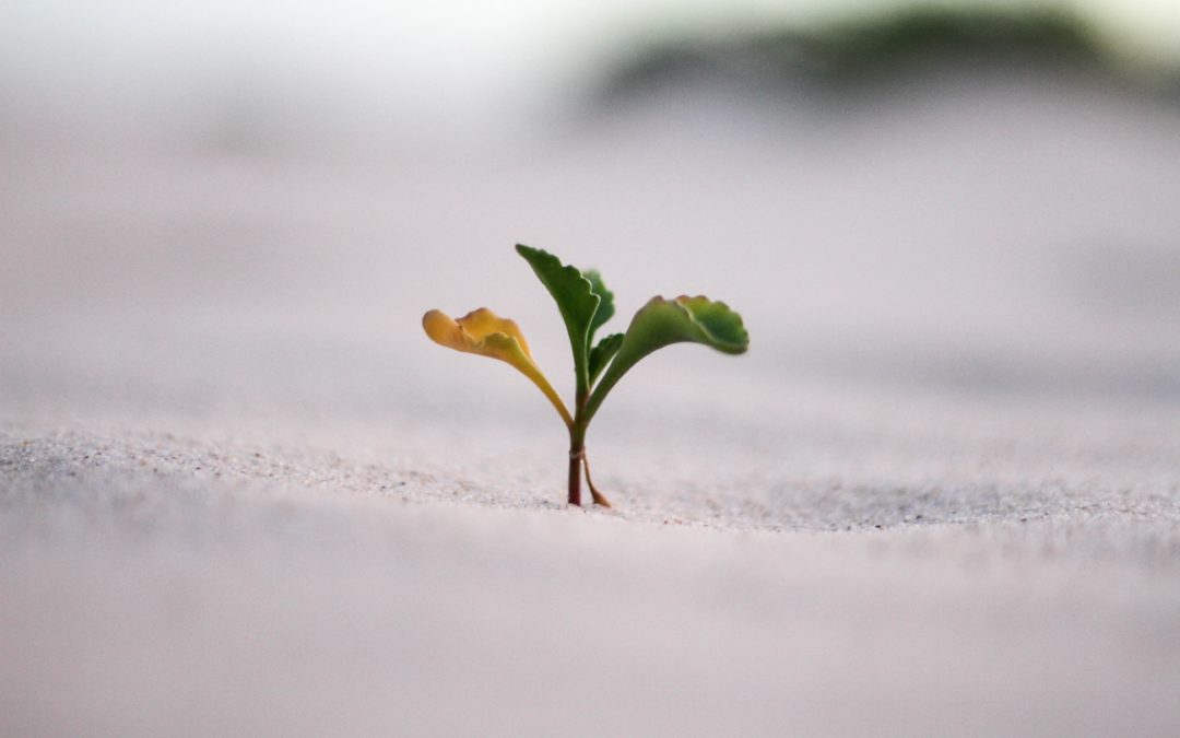 How to Grow as an Engineer