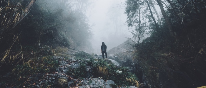 How to Survive and Thrive in a New Project Part 1 On Boarding